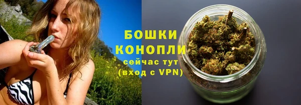 стафф Протвино