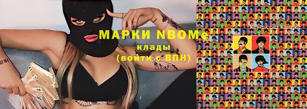 стафф Протвино