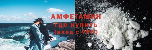 сатива Няндома