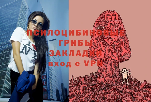 ALPHA PVP Белокуриха