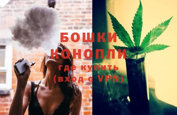 ALPHA PVP Белокуриха