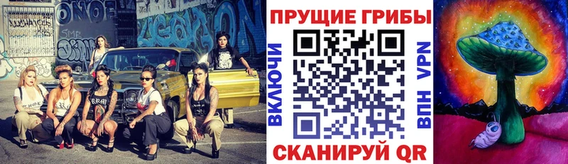 Галлюциногенные грибы Magic Shrooms  Чернушка 